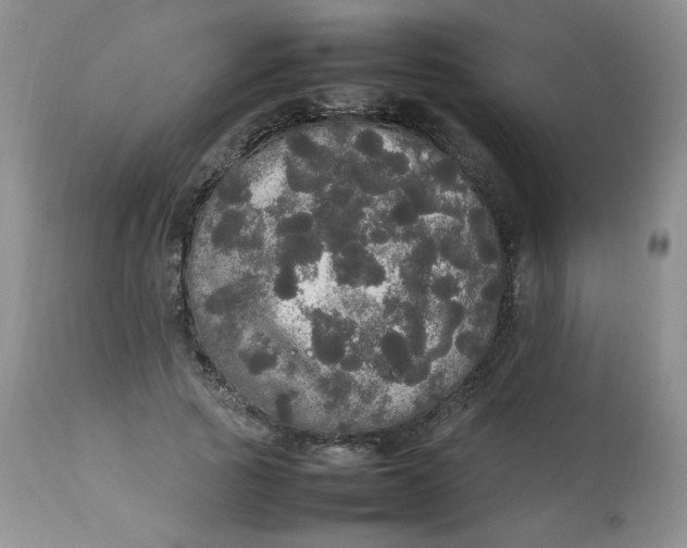 X0000112830737200909111357