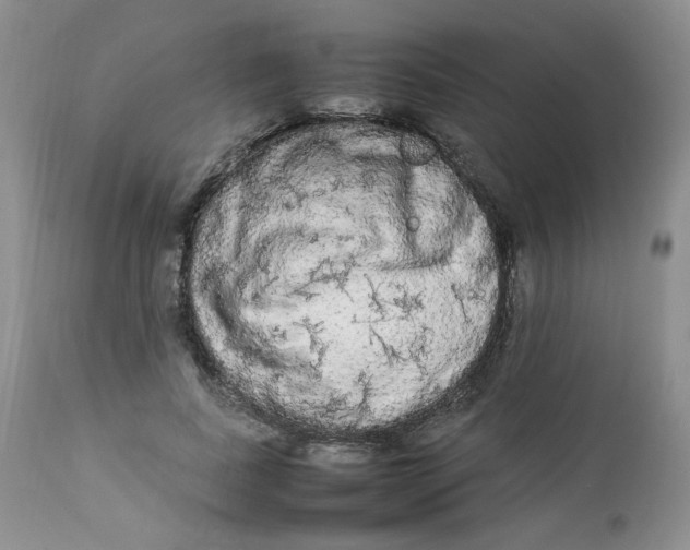 X0000112830739200909111357