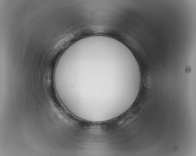 X0000112830740200909111357