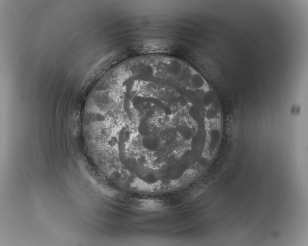 X0000112830741200909111357