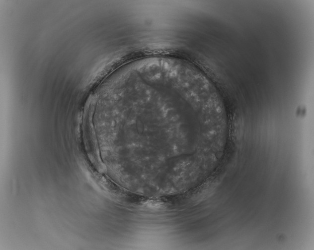 X0000112830742200909111357