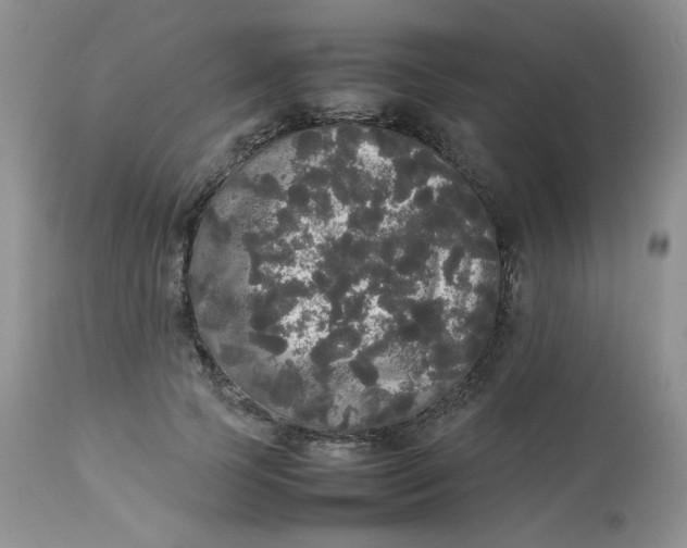 X0000112830745200909111357