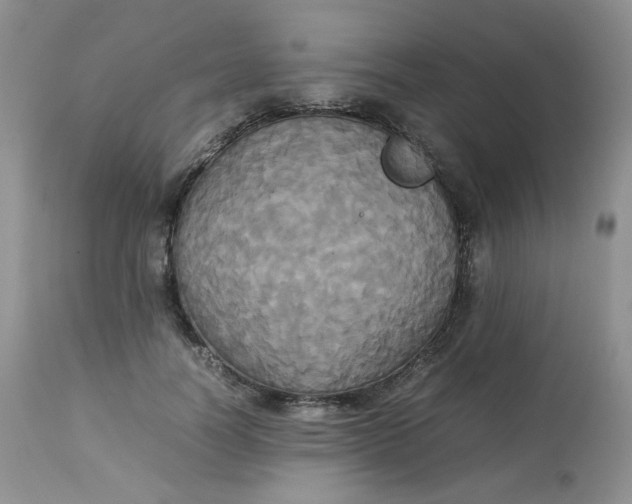 X0000112830746200909111357