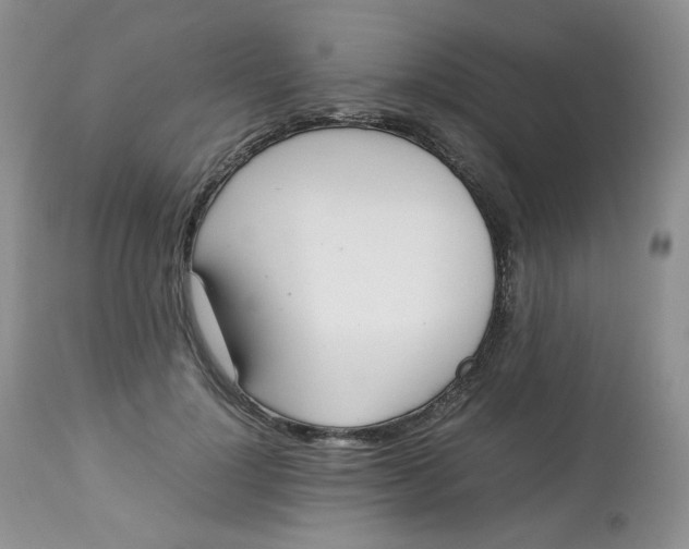 X0000112830748200909111358