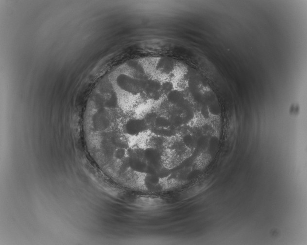 X0000112830749200909111358