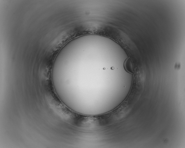 X0000112830750200909111358