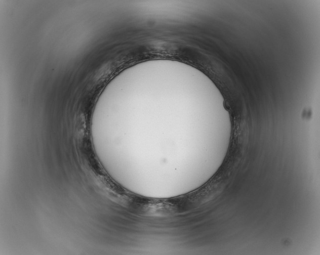 X0000112830752200909111358