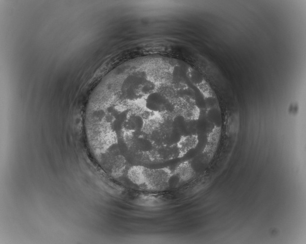 X0000112830753200909111358