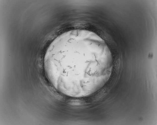 X0000112830755200909111358