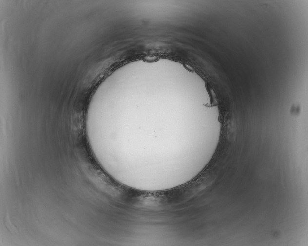 X0000112830756200909111358