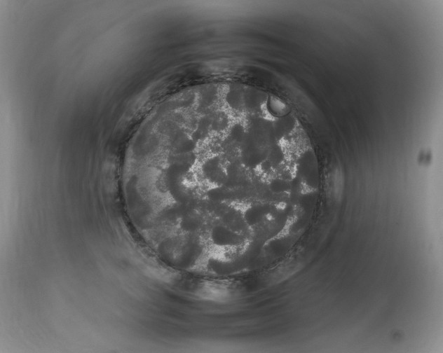 X0000112830757200909111358