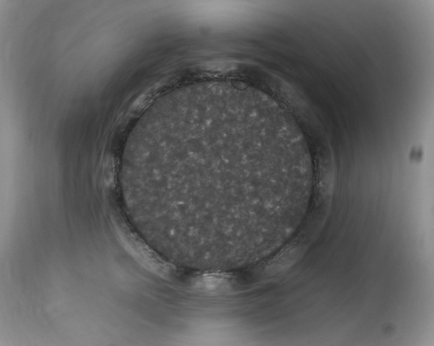 X0000112830758200909111358