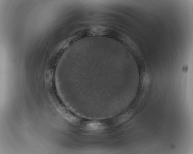 X0000112830759200909111358