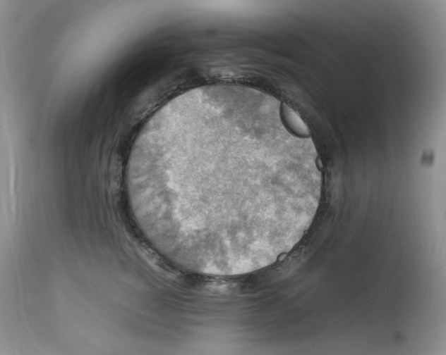 X0000112830760200909111358