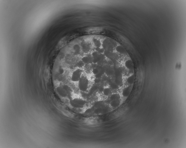 X0000112830761200909111358