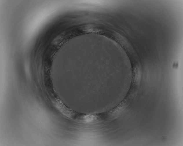 X0000112830762200909111358