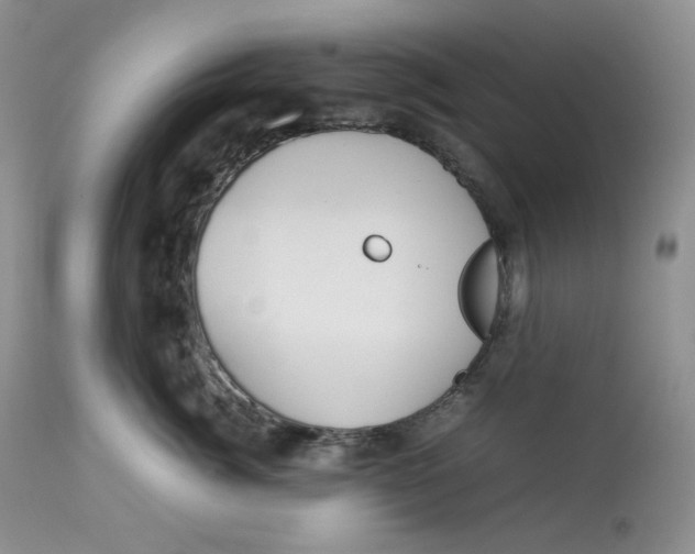 X0000112830764200909111358