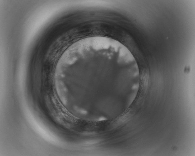 X0000112830765200909111358