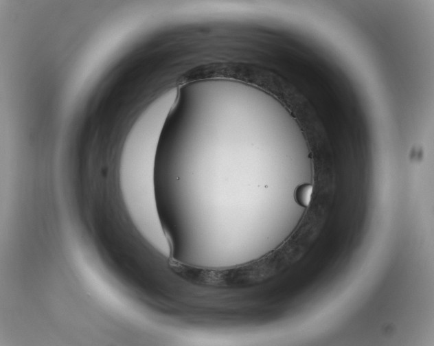 X0000112830766200909111358