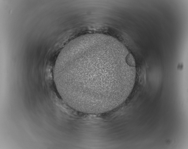 X0000112830770200909111357