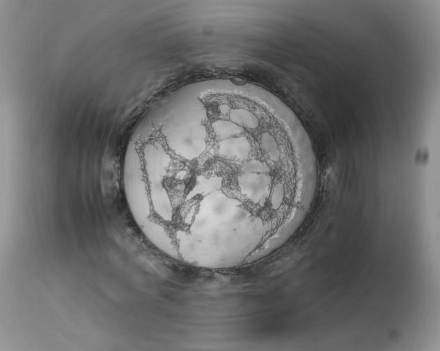 X0000112830772200909111357