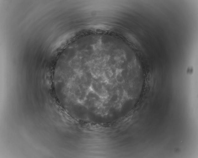 X0000112830774200909111357