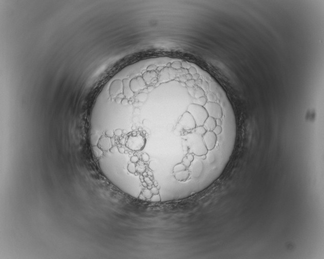 X0000112830776200909111357