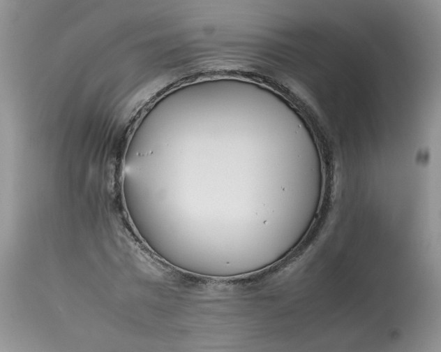 X0000112830777200909111357