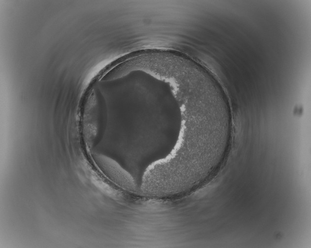 X0000112830779200909111357