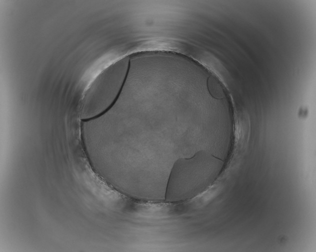 X0000112830781200909111357