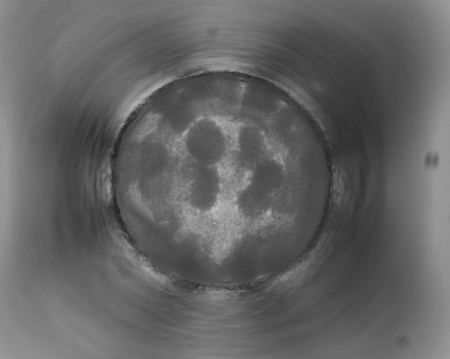 X0000112830782200909111357