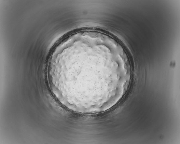 X0000112830783200909111357