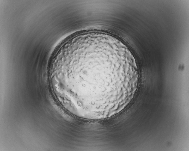 X0000112830784200909111357