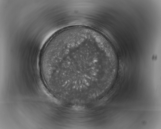 X0000112830788200909111357