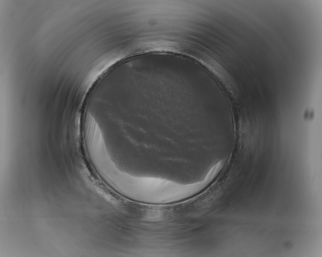 X0000112830790200909111356