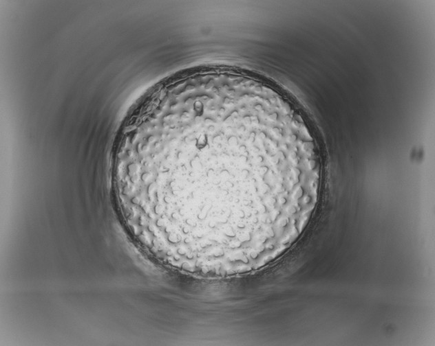 X0000112830791200909111356