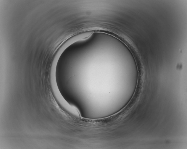 X0000112830793200909111356