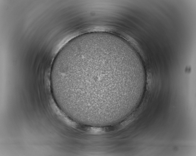 X0000112830794200909111356