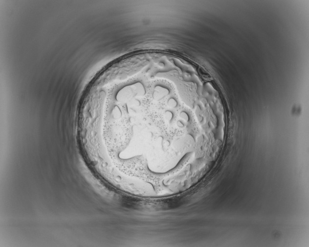 X0000112830795200909111356