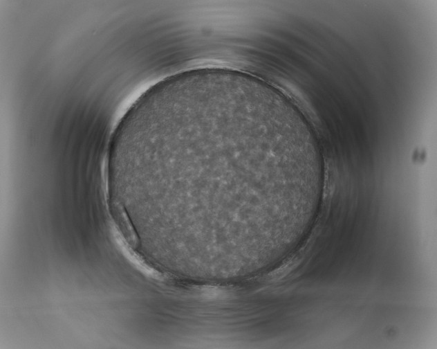 X0000112830796200909111356