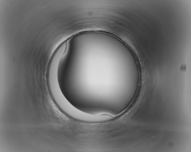 X0000112830797200909111356