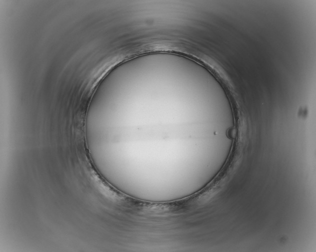 X0000112830801200909111356