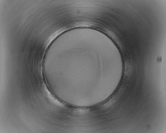 X0000112830802200909111356