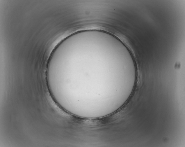 X0000112830805200909111356