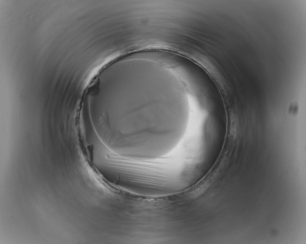 X0000112830806200909111356