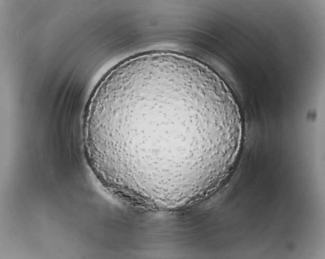 X0000112830808200909111356