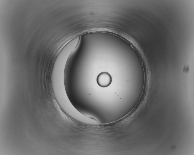 X0000112830809200909111356