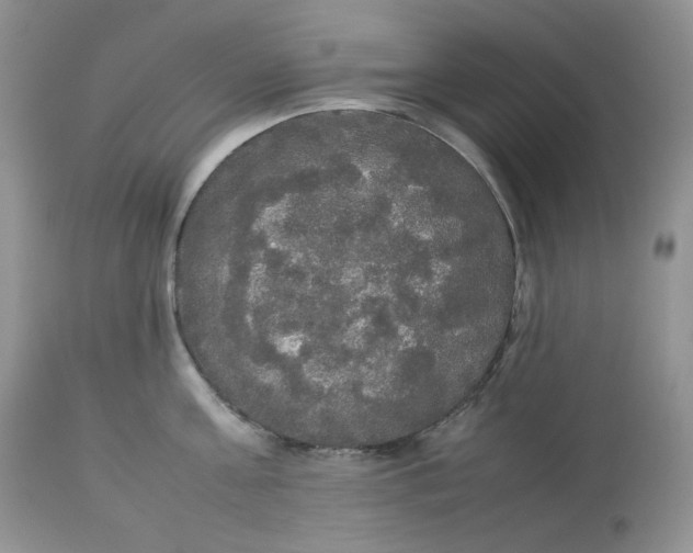 X0000112830811200909111356