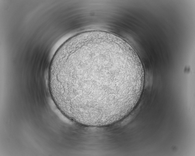 X0000112830812200909111356