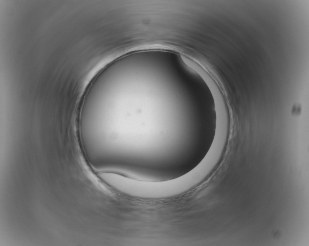 X0000112830813200909111356